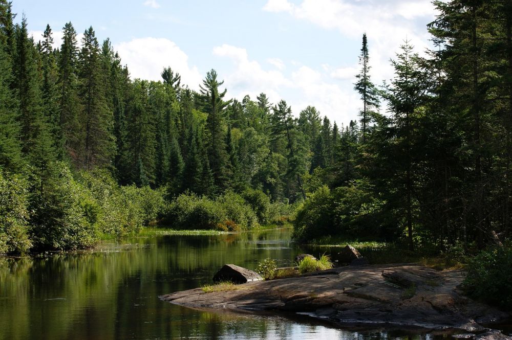 Weekends Trips and Outings - Collingwood